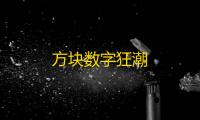 方块数字狂潮